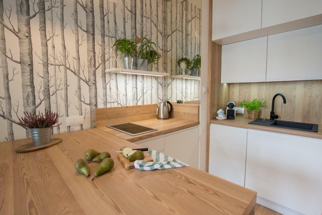 Rakowicka Apartment Cracovie Extérieur photo